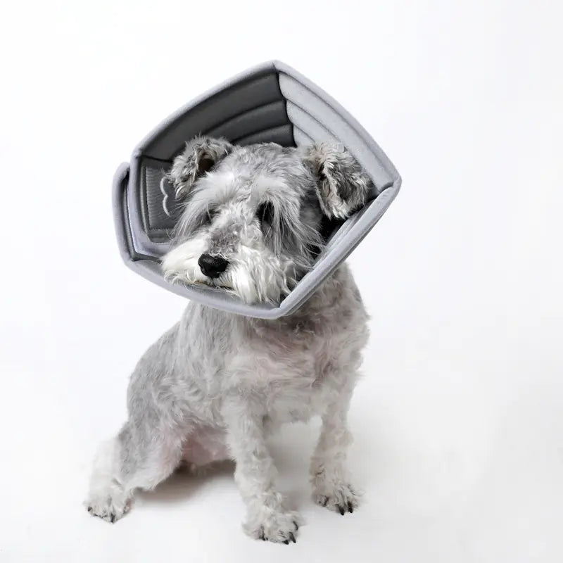 Simple Bone Anti-Bite Headgear for Pets