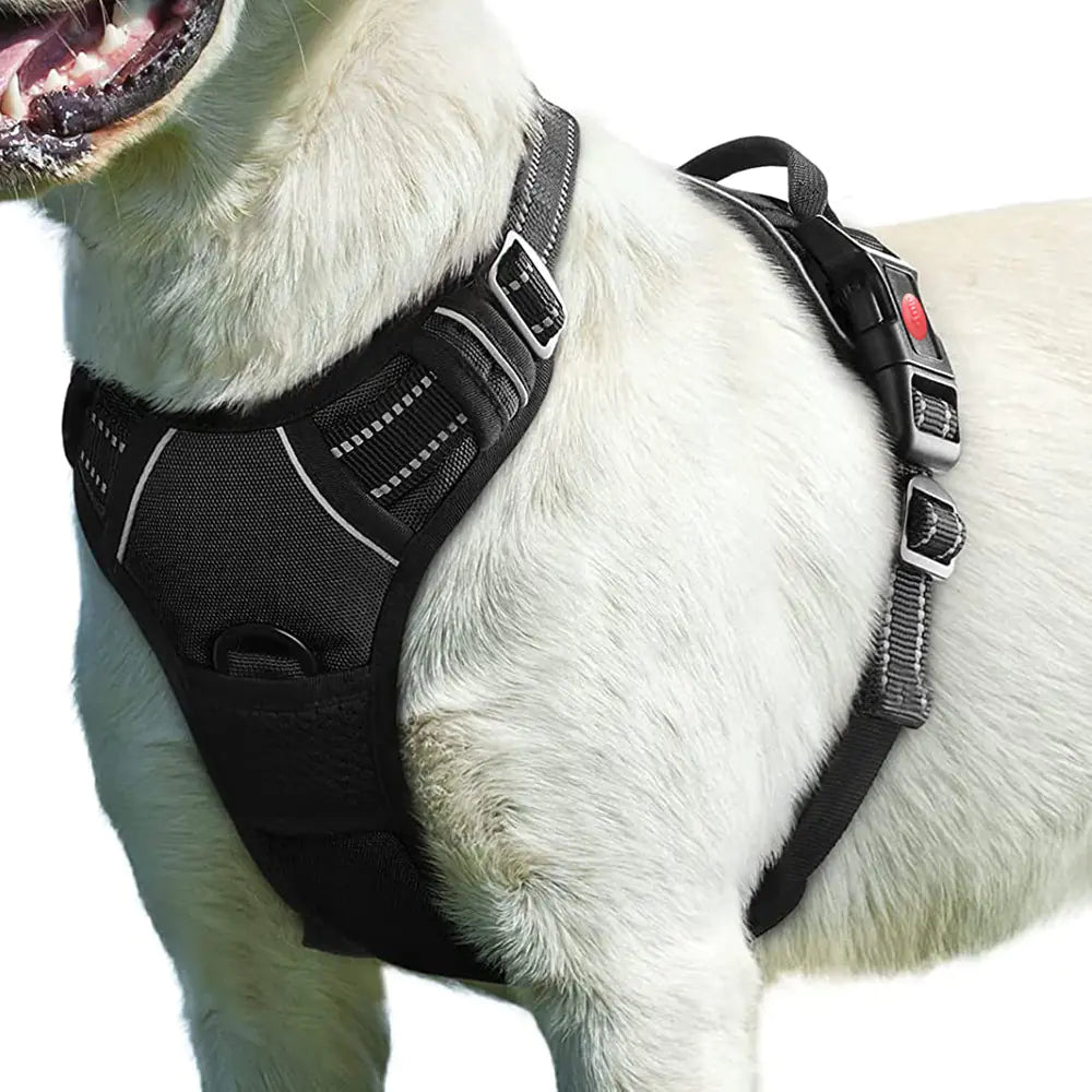 Pet Traction Rope with Chest Strap Harness