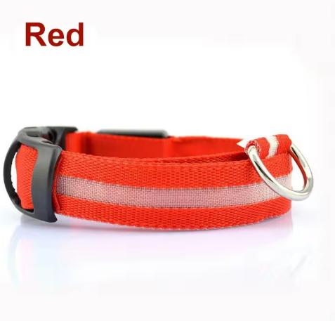 Glow Paw LED Safety Collar