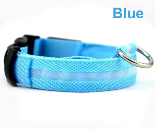 Glow Paw LED Safety Collar