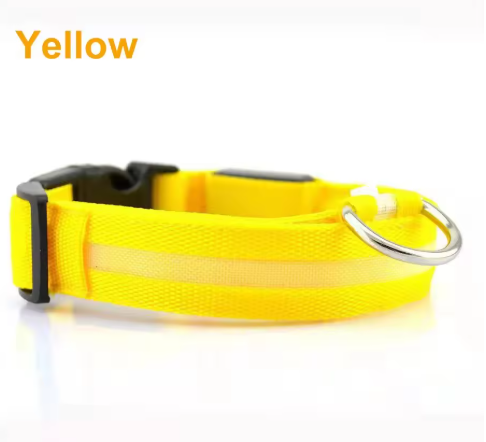 Glow Paw LED Safety Collar