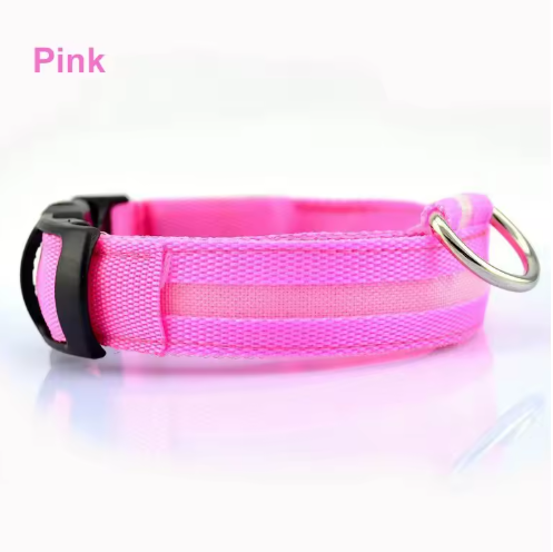 Glow Paw LED Safety Collar