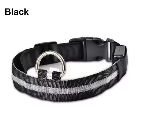 Glow Paw LED Safety Collar