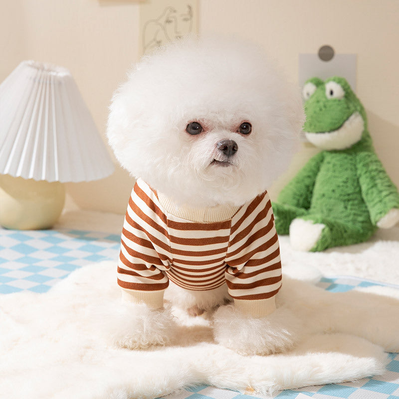 Summer Clothing for Dogs