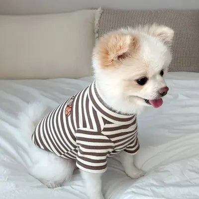 Summer Clothing for Dogs