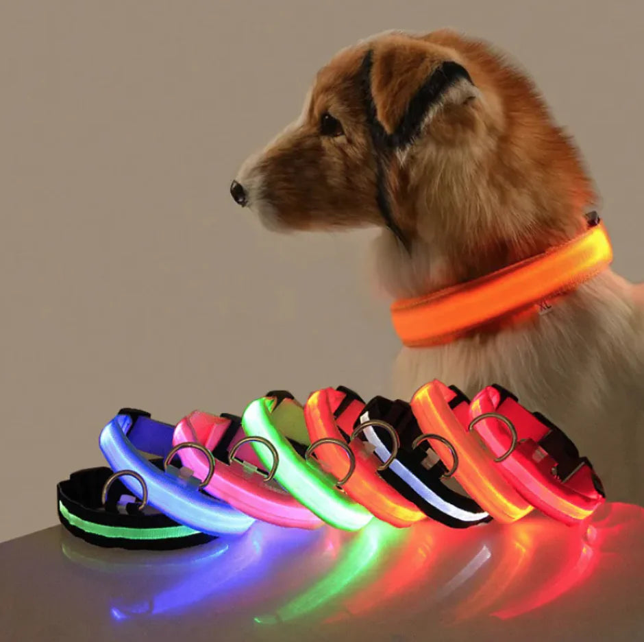 Glow Paw LED Safety Collar