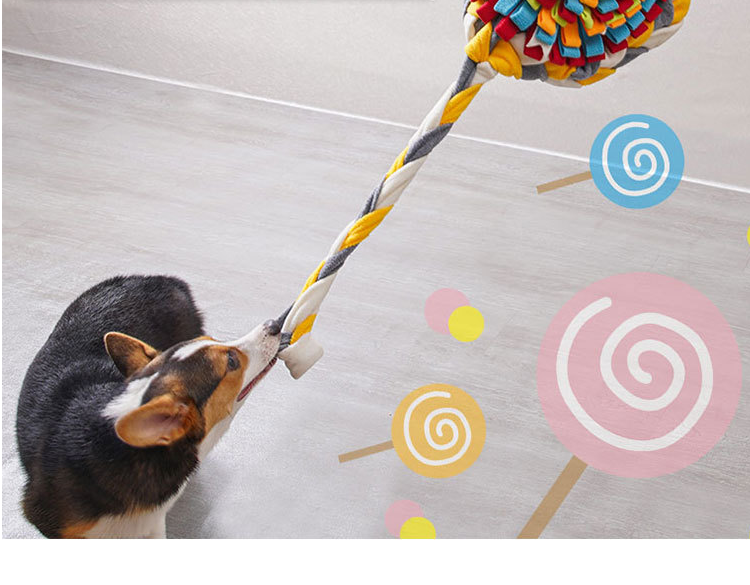 Dog Treat Sniffing Pad