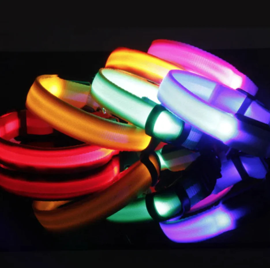 Glow Paw LED Safety Collar