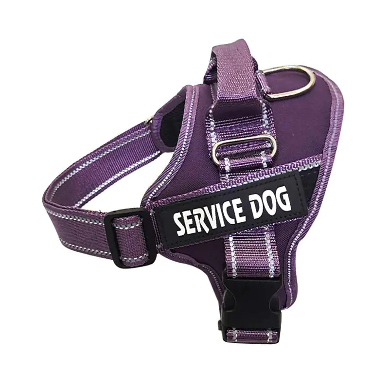 Personalized Pet Chest Strap Products