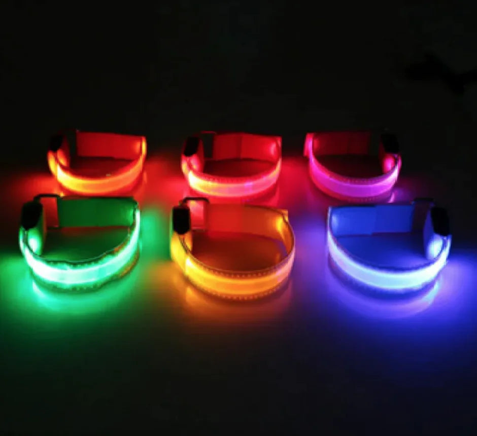 Glow Paw LED Safety Collar