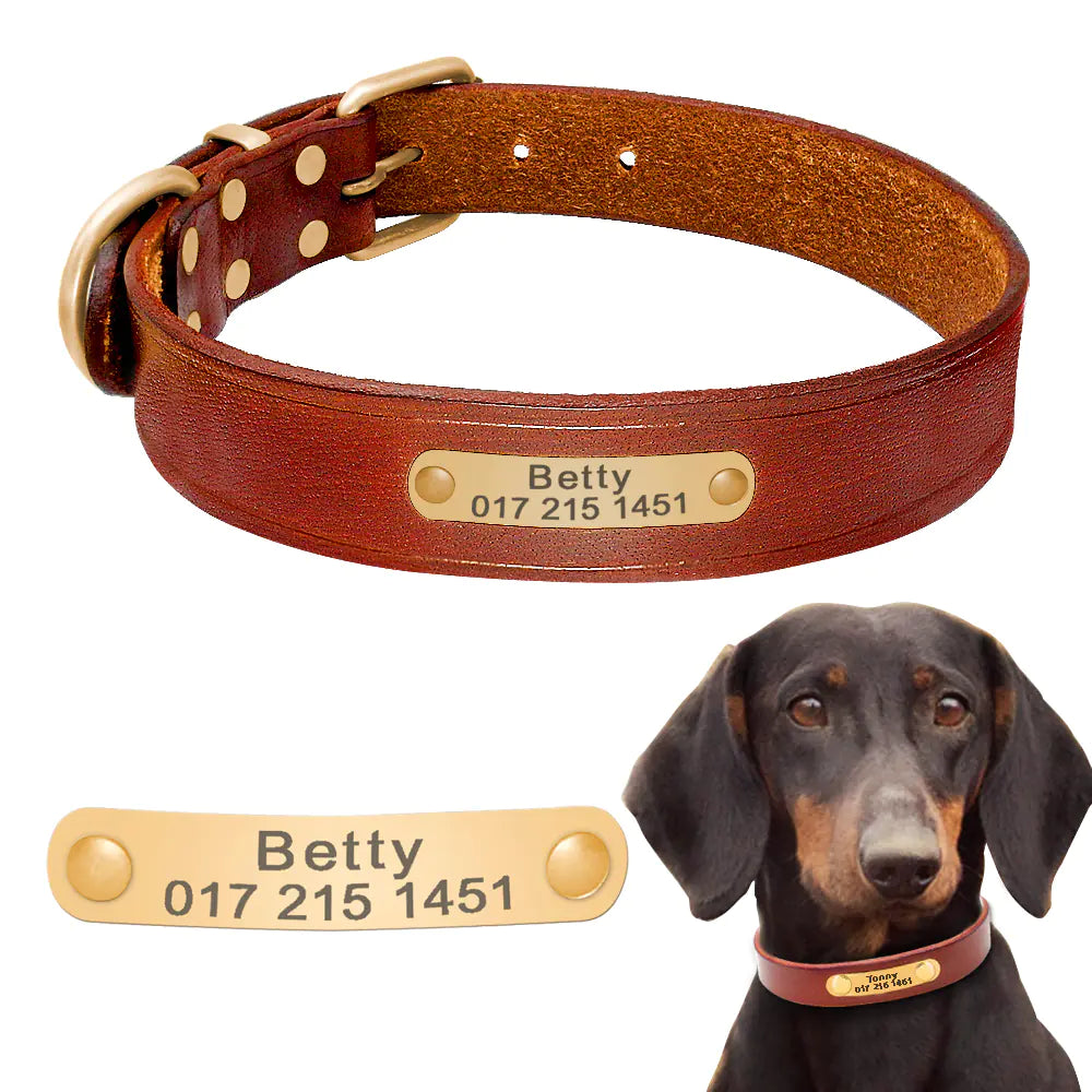Custom Leather Dog Collars with Engraved ID Tags