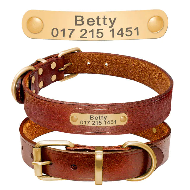 Custom Leather Dog Collars with Engraved ID Tags